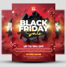 Black Friday Sale Flyer 1
