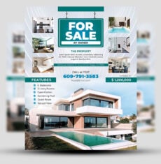 FSBO Simple Flyer 1