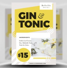 Gin and Tonic Flyer