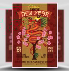Illustrated Chinese New Year Flyer 2