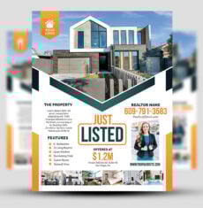 Just Listed Modern Flyer 1