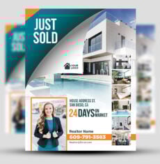 Just Sold Modern Flyer 1