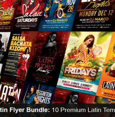 Latin Flyer Bundle