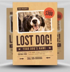 Lost Dog Flyer 1