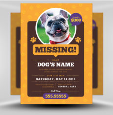 Lost Dog Flyer 3