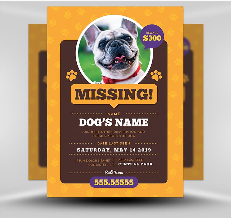 Lost Dog Flyer 3
