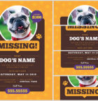 Lost Dog Flyer 3