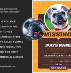 Lost Dog Flyer 3