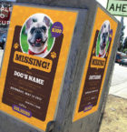 Lost Dog Flyer 3