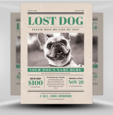 Lost Dog Flyer 4