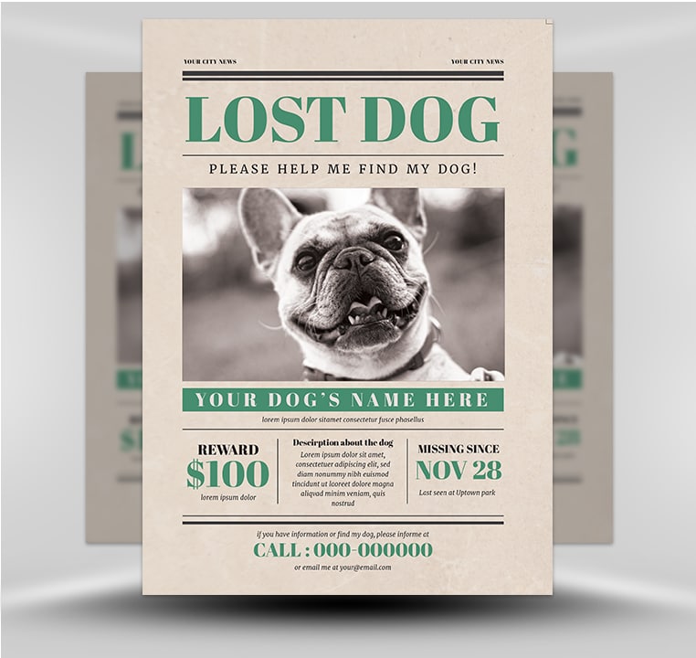 Lost Dog Flyer 4
