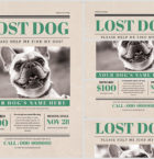 Lost Dog Flyer 4