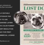 Lost Dog Flyer 4