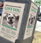 Lost Dog Flyer 4