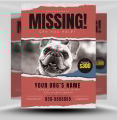 Lost Dog Flyer 5