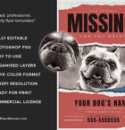 Lost Dog Flyer 5