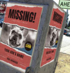 Lost Dog Flyer 5
