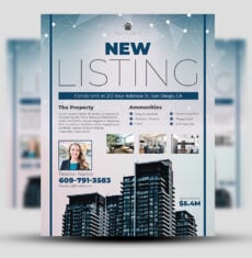 New Listing Condo Flyer 2