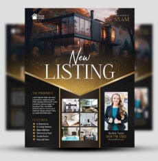 New Listing Luxury Flyer 1