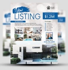 New Listing Flyer 1