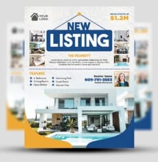 New Listing Flyer 2
