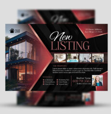 New Listing Luxury Flyer 2