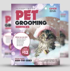 Pet Grooming Flyer 2