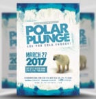 Polar Plunge Flyer