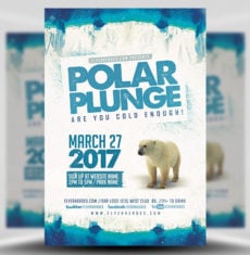 Polar Plunge Flyer