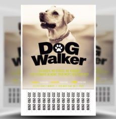 Professional Dog Walker Flyer