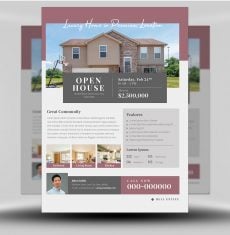 Stately Manor Real Estate Flyer