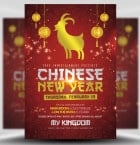 Red & Gold Chinese Flyer