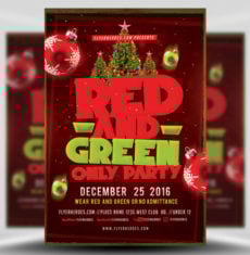 Red & Green Only Party Flyer