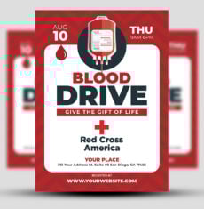 Red Cross America Flyer 2