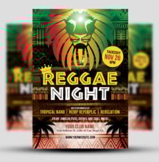 Reggae Night Flyer 3