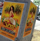 Sexy Latin Tuesdays Flyer