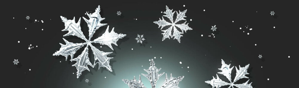 Free 3D Snowflake Renders