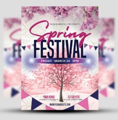 Spring Festival Flyer 1