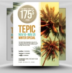 Travel Flyer V2