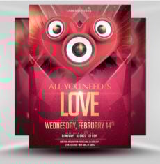 Valentine Flyer v3