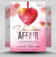 Valentine Flyer 3.19