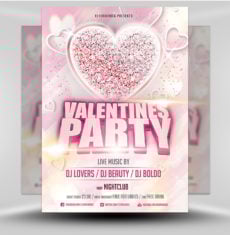 Valentine Flyer 4.19