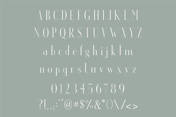 Venice Serif Font Family